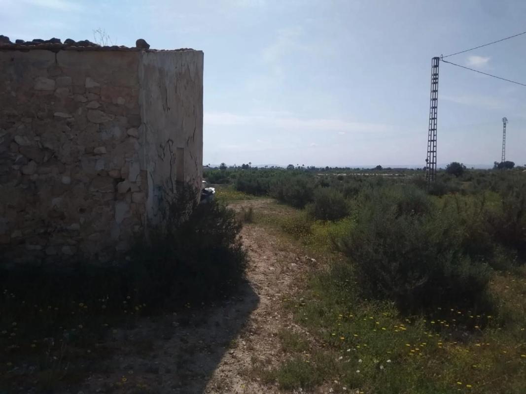 Terreno en venta en Elche / Elx, Alicante photo 5
