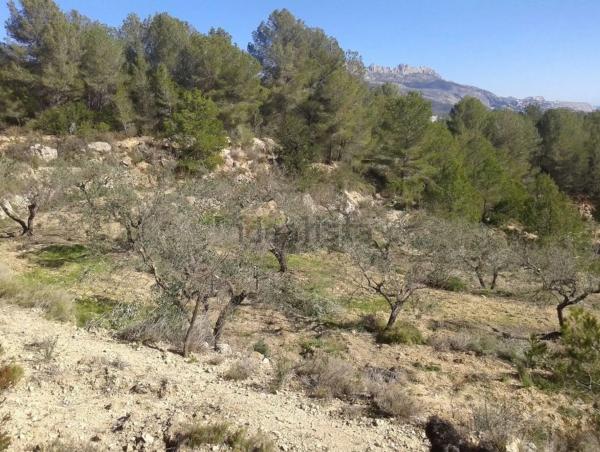 Terreno en Xirles photo 1