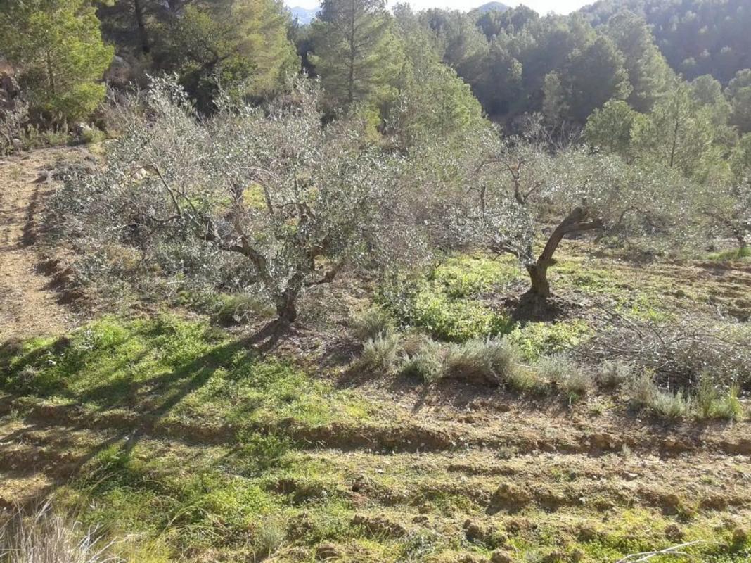 Terreno en venta en Polop, Alicante photo 2