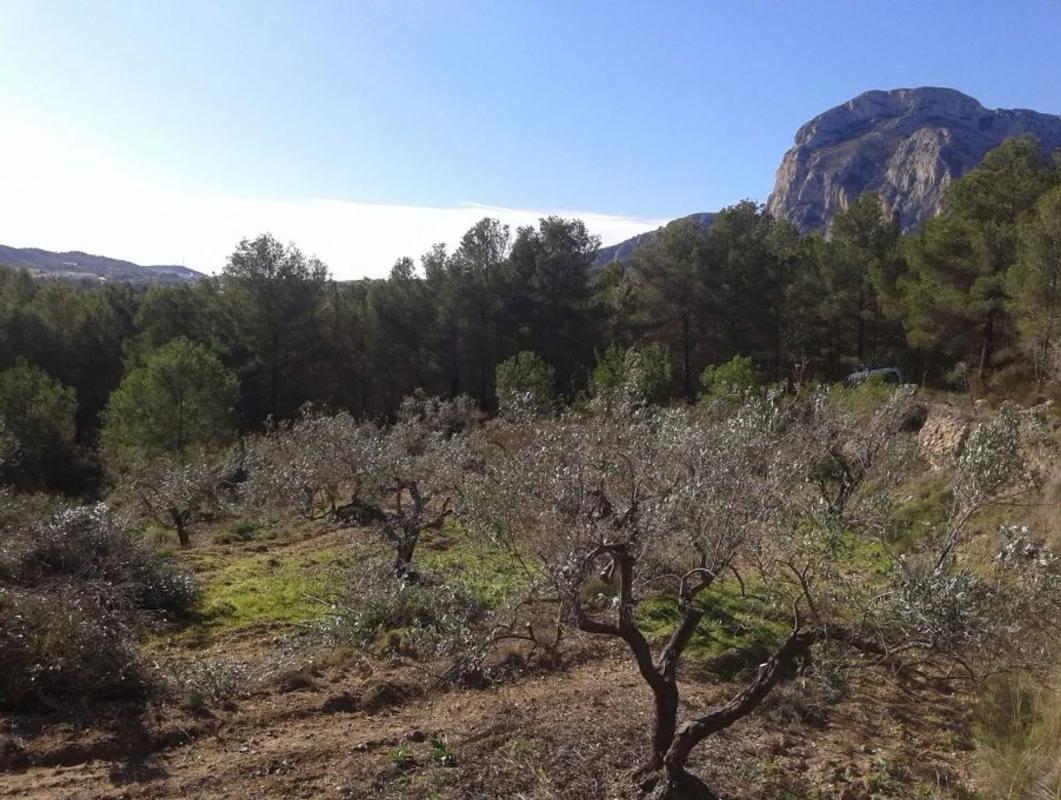 Terreno en venta en Polop, Alicante photo 3