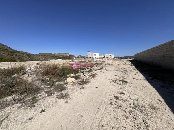Terreno en Biar photo 1