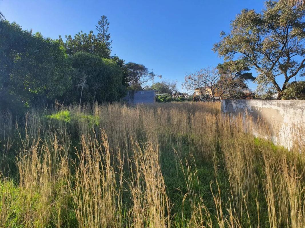 Land for sale in Denia, Alicante photo 5