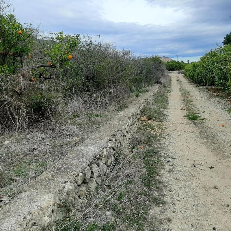 Terreno en venta en Pego, Alicante photo 2