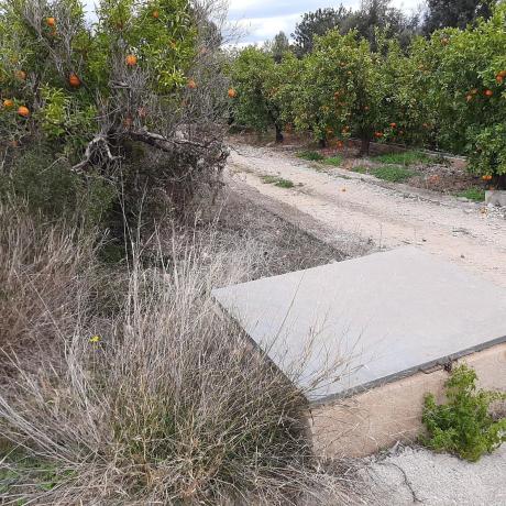 Terreno en Pego photo 3