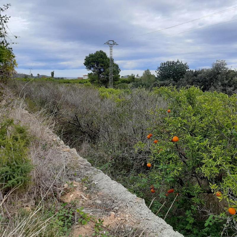 Terreno en venta en Pego, Alicante photo 4
