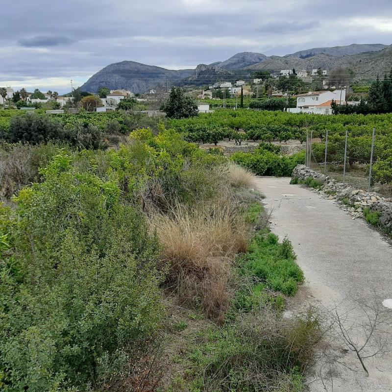 Terreno en venta en Pego, Alicante photo 5