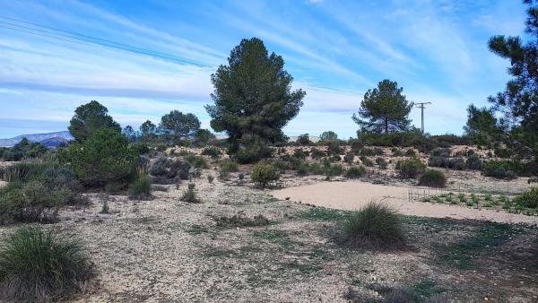 Terreno en Cv83, 7 photo 1