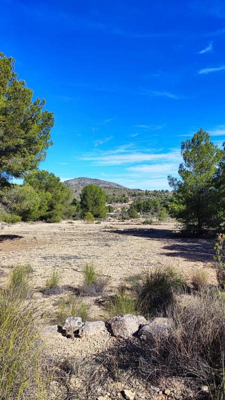 Terreno en venta en Monovar, Alicante photo 3
