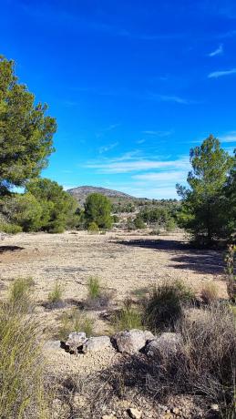 Terreno en Cv83, 7 photo 3