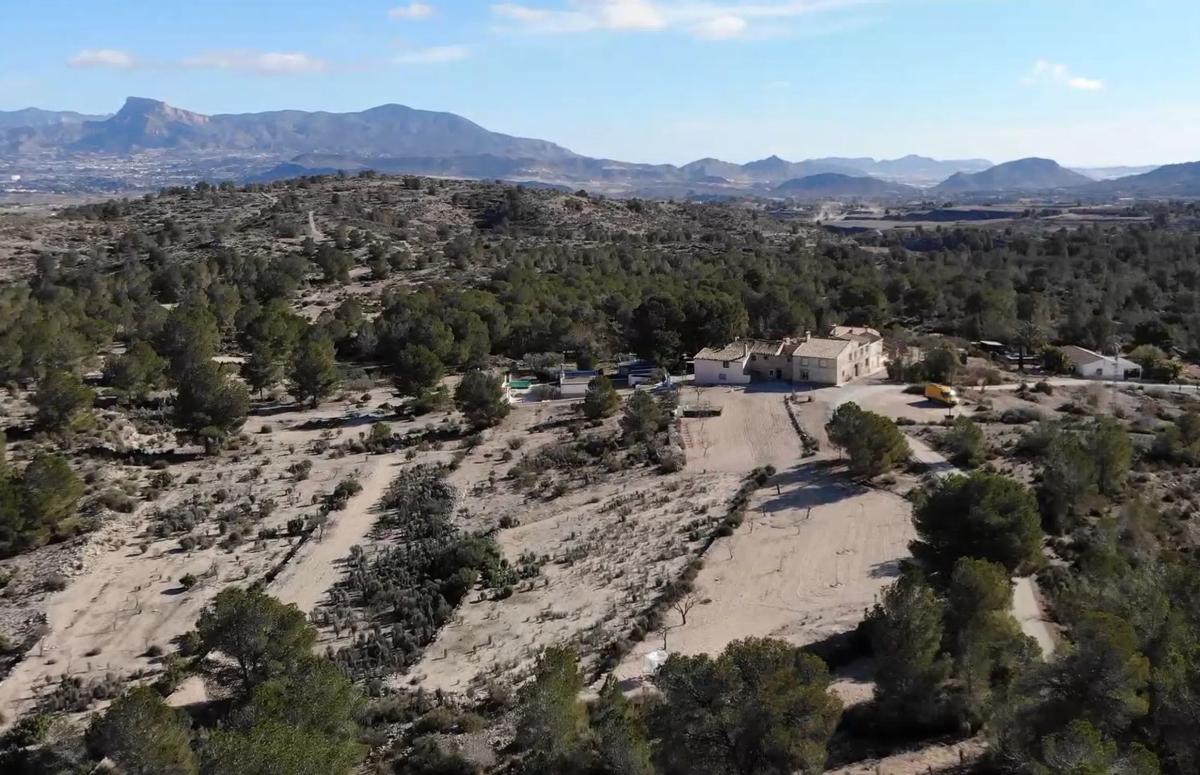 Terreno en venta en Monovar, Alicante photo 4