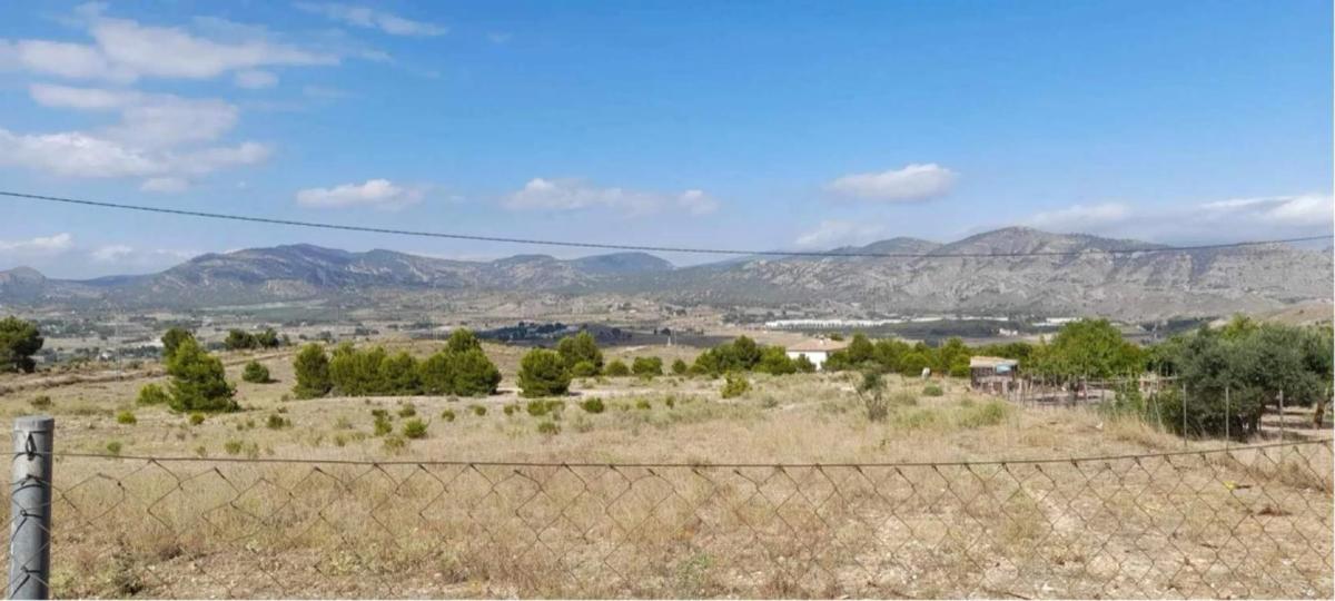 Land for sale in Elda, Alicante photo 1