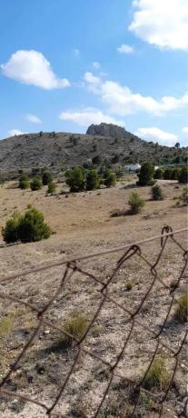 Terreno en Campo Alto photo 3