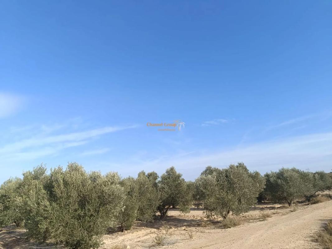 Terreno en venta en Elche / Elx, Alicante photo 3