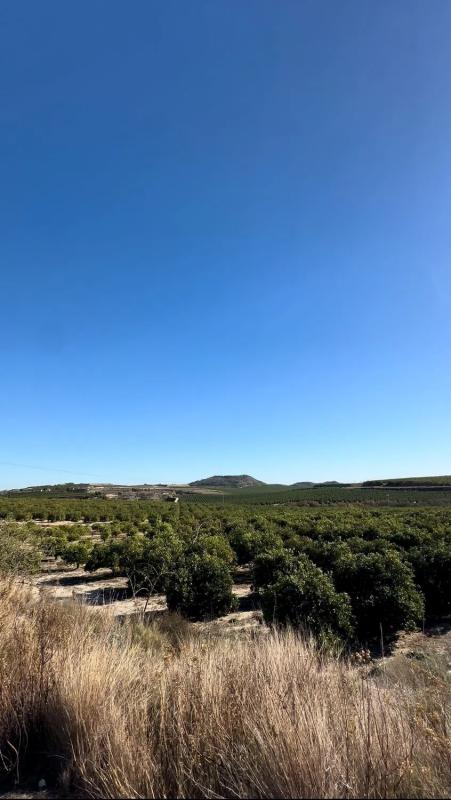 Terreno en venta en Los Montesinos, Alicante photo 1