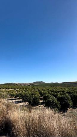 Terreno en Partida Pino, km 5 photo