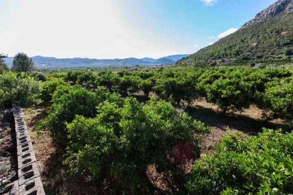 Terreno en Sagra photo 1