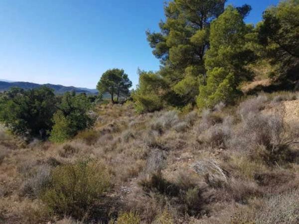 Terreno en plaza Foya del Cac photo 1