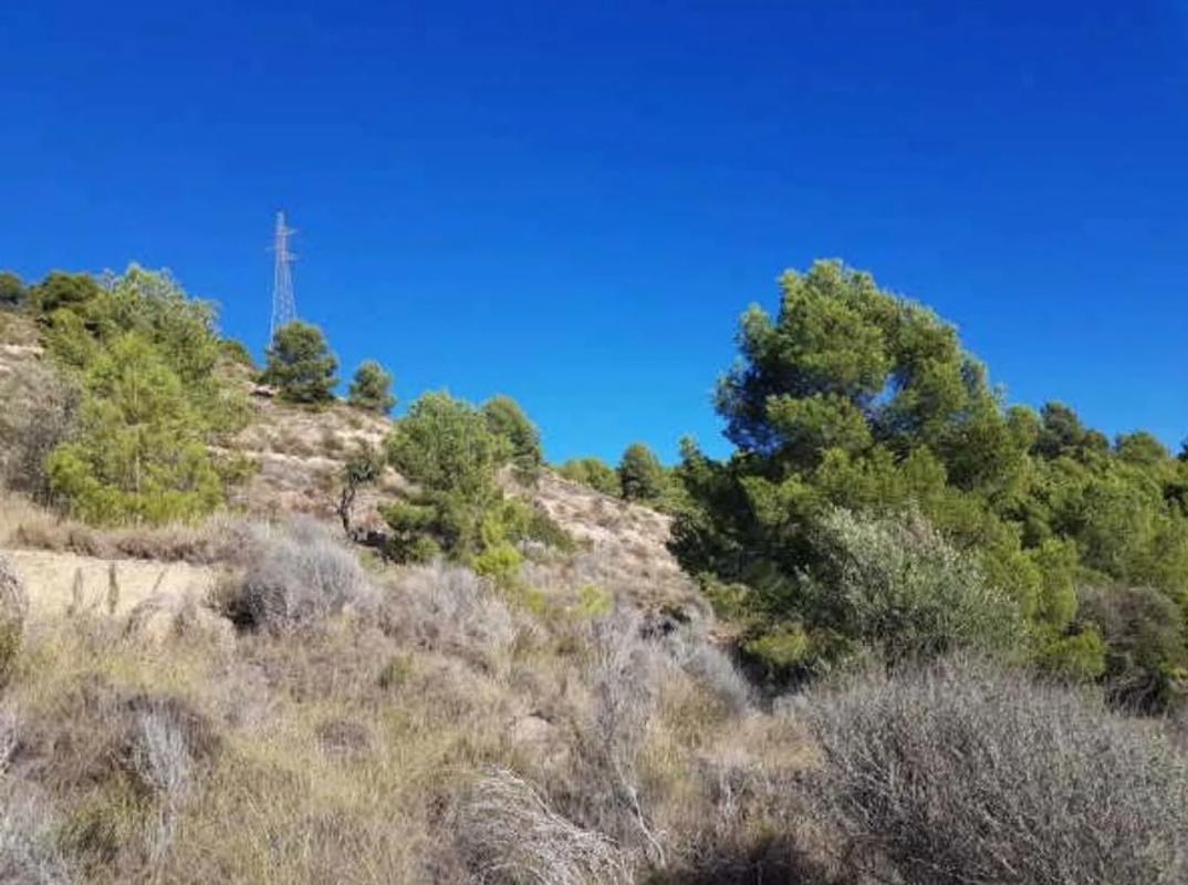 Land for sale in Finestrat, Alicante photo 2