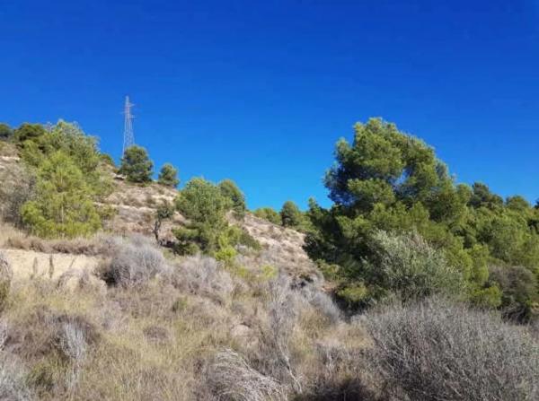 Terreno en plaza Foya del Cac photo 2