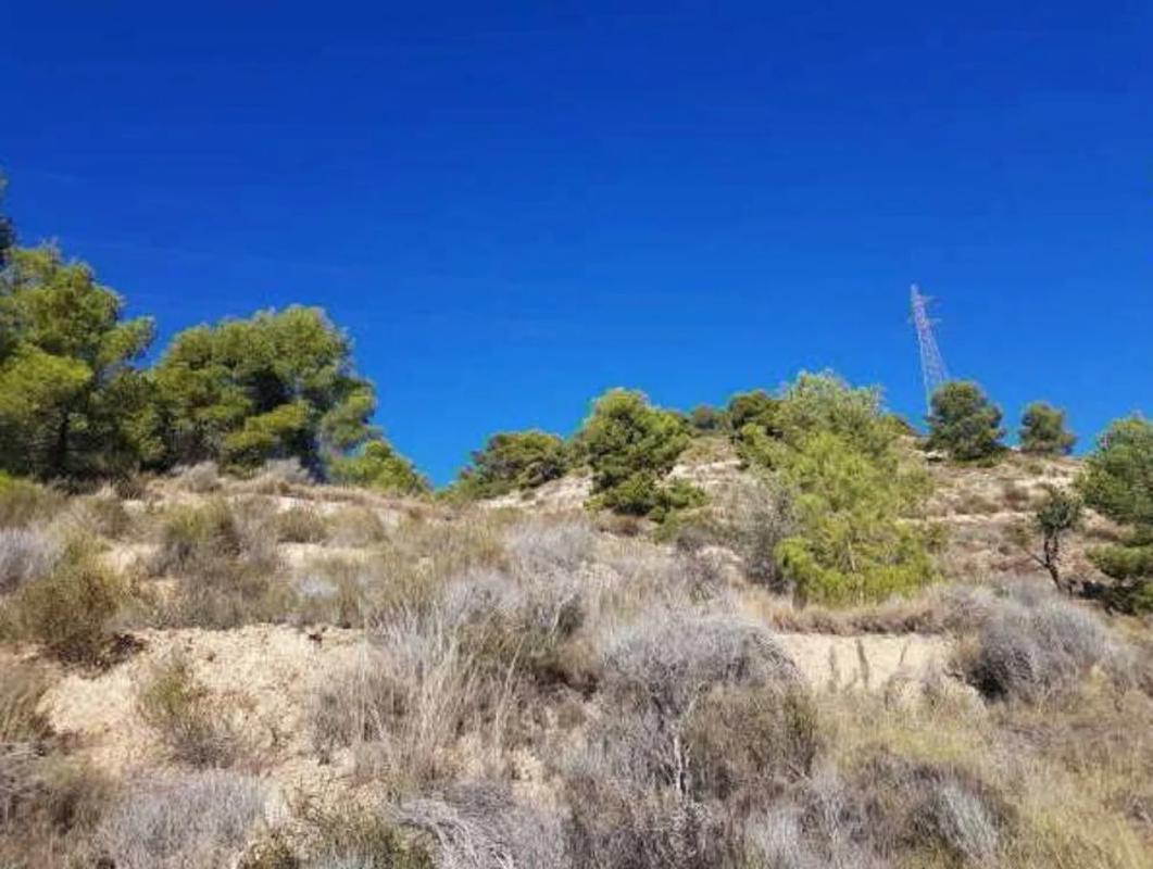 Land for sale in Finestrat, Alicante photo 3