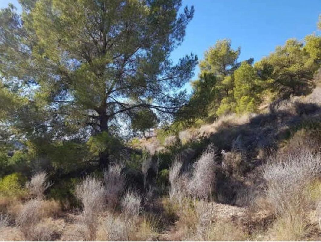 Land for sale in Finestrat, Alicante photo 4