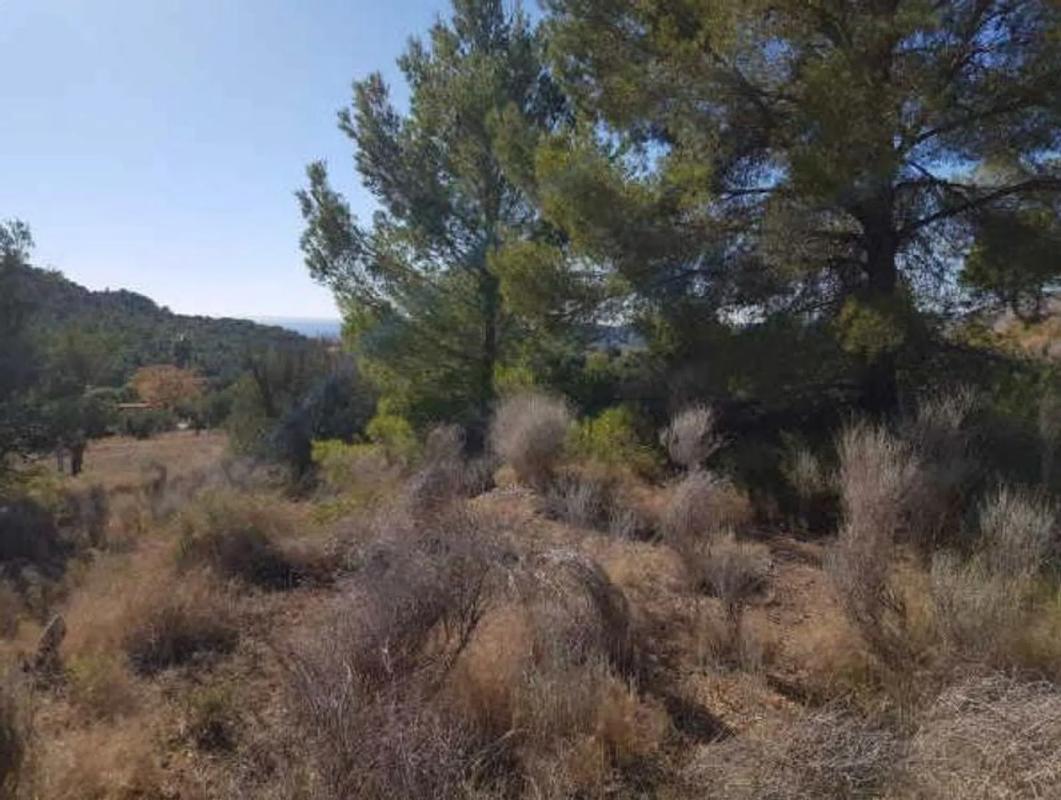 Land for sale in Finestrat, Alicante photo 5