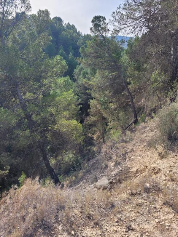 Terreno en venta en Penaguila, Alicante photo 1