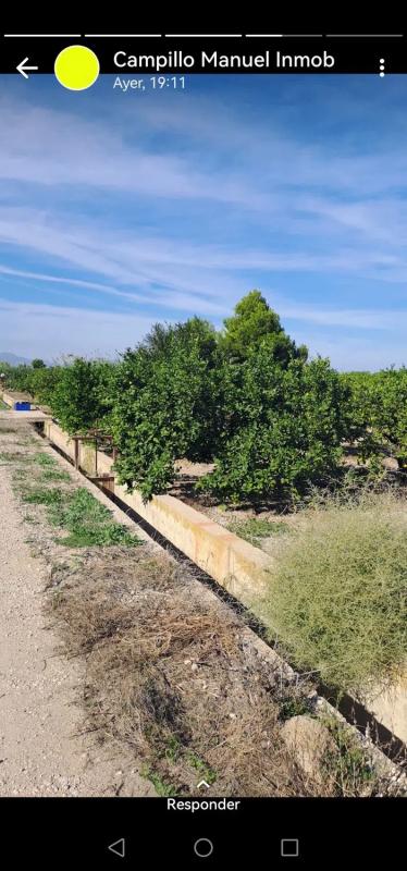 Terreno en venta en Daya Nueva, Alicante photo 3