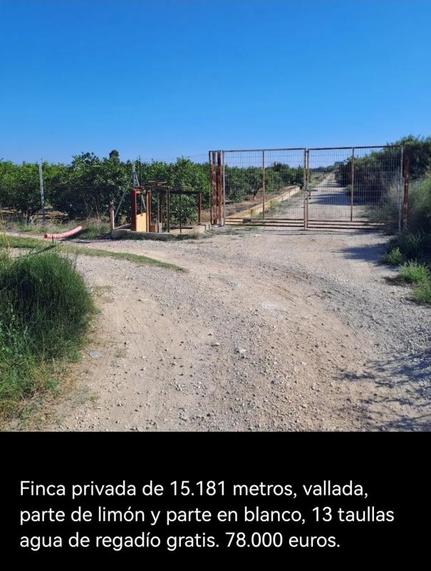 Terreno en venta en Daya Nueva, Alicante photo 4