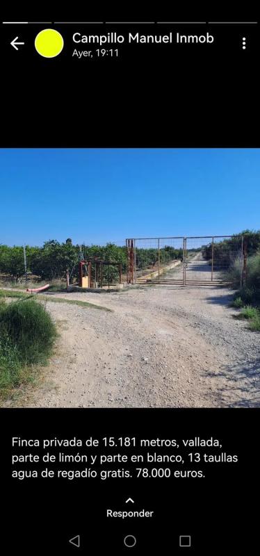 Terreno en venta en Daya Nueva, Alicante photo 5