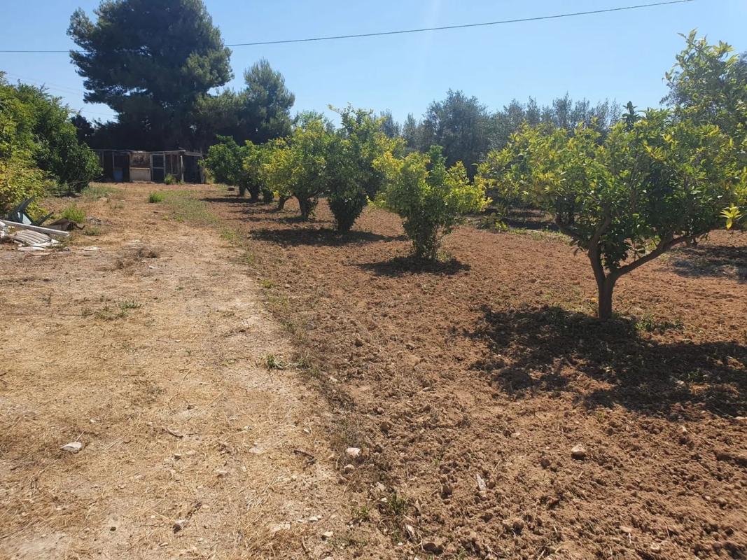 Działka na sprzedaż w La Villajoyosa / Vila Joiosa, Alicante photo 2