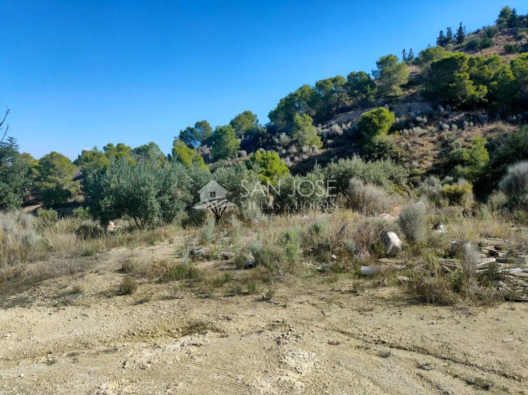 Terreno en venta en Aspe, Alicante photo 1