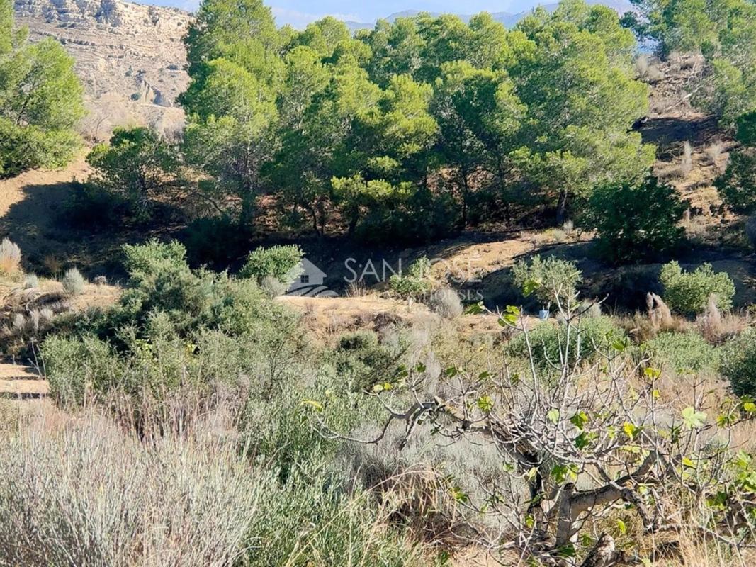 Terreno en venta en Aspe, Alicante photo 2