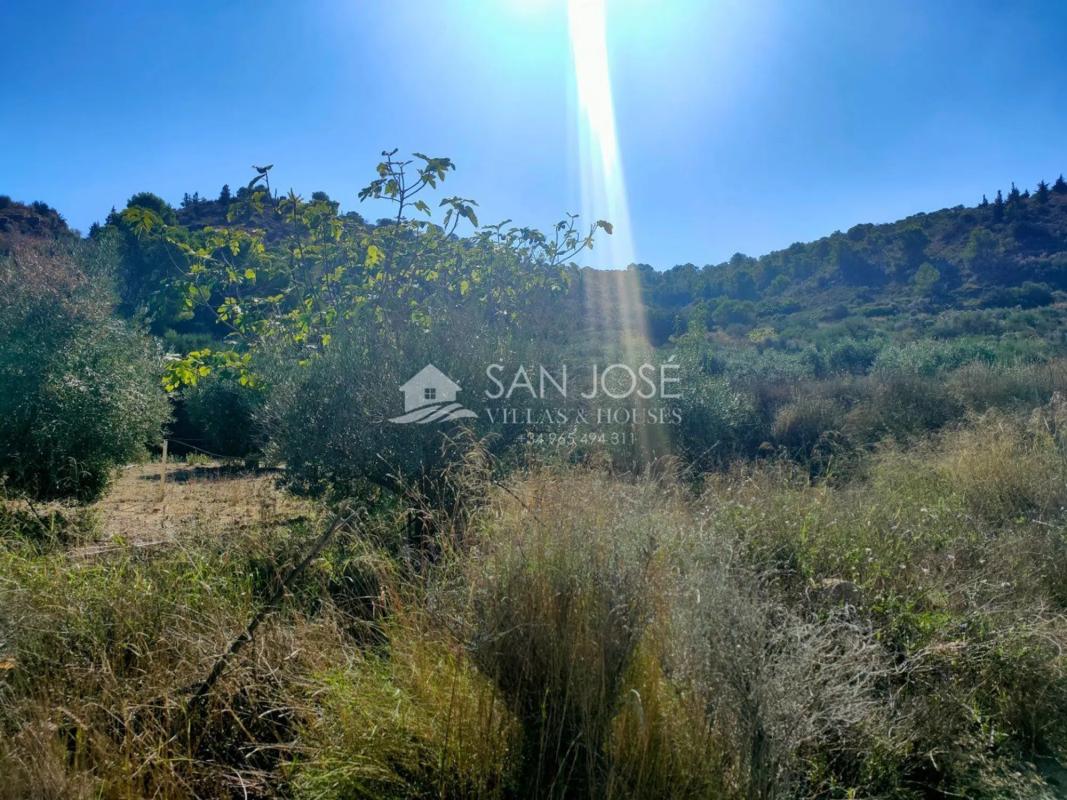 Terreno en venta en Aspe, Alicante photo 3