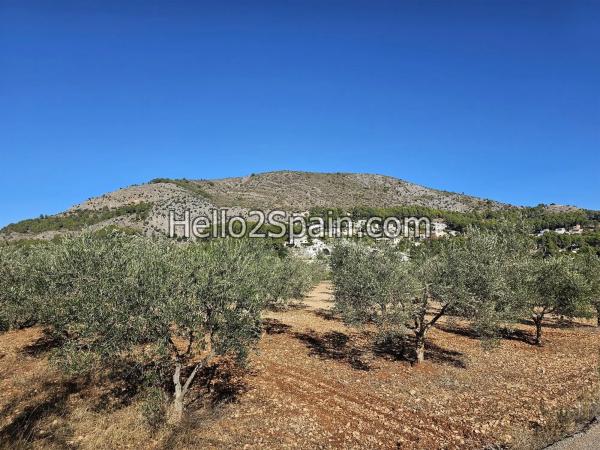 Terreno en Campo photo 1