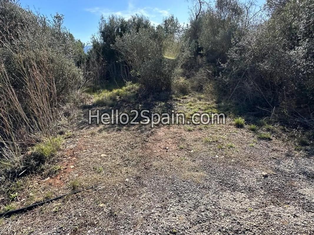 Terreno en venta en Alcalalí, Alicante photo 4