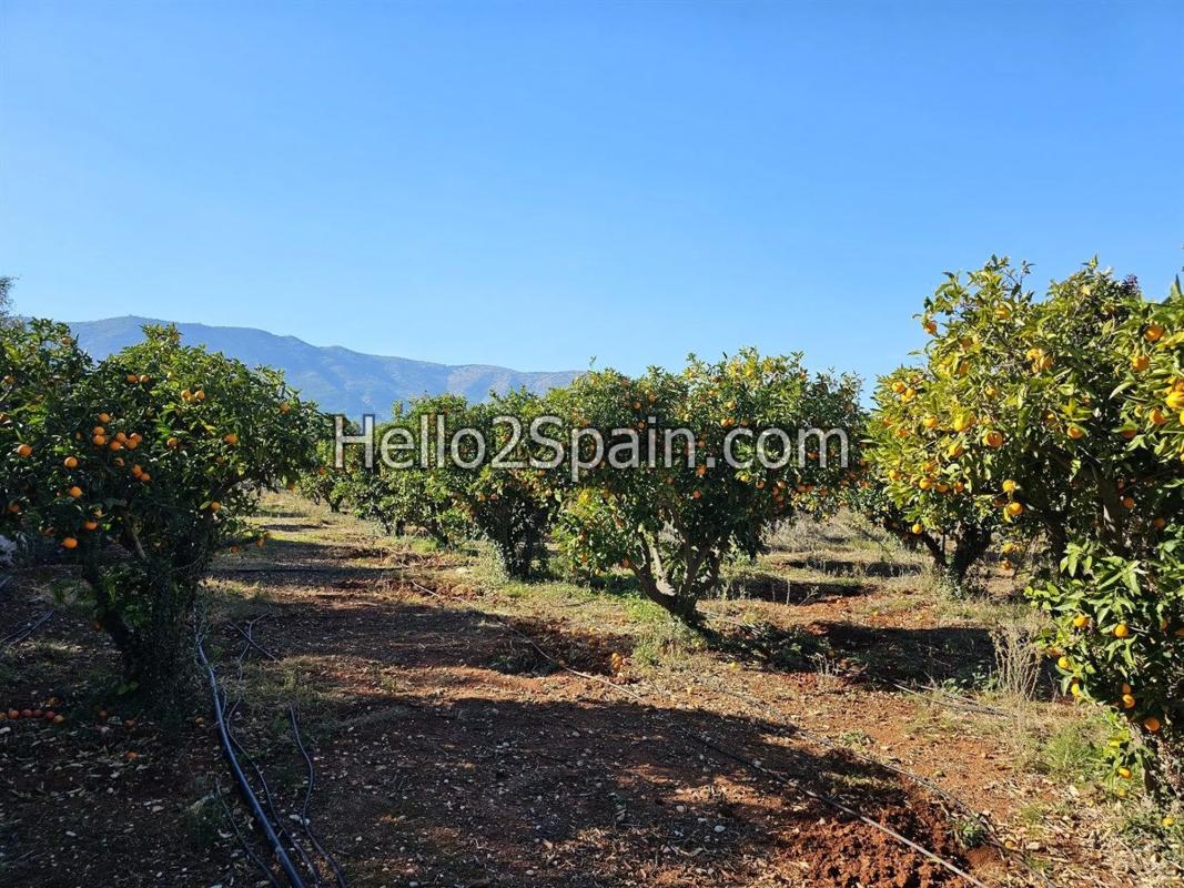 Terreno en venta en Alcalalí, Alicante photo 5