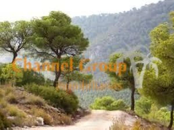 Terreno en Monovar photo