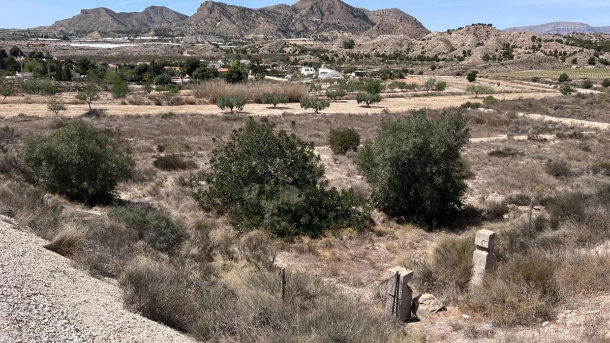 Land for sale in Fenollar Canyon, Alicante photo 1