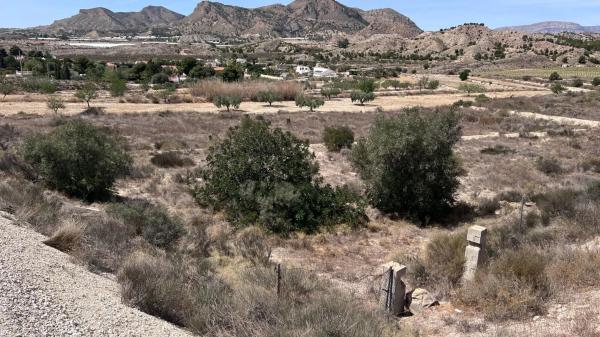 Terreno en Cañada del Fenollar photo 1