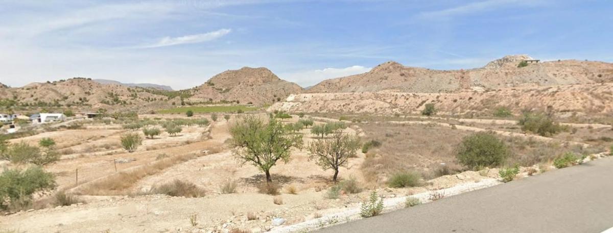 Land for sale in Fenollar Canyon, Alicante photo 3