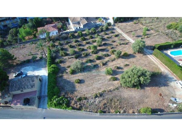 Terreno en Centro Ciudad photo 3