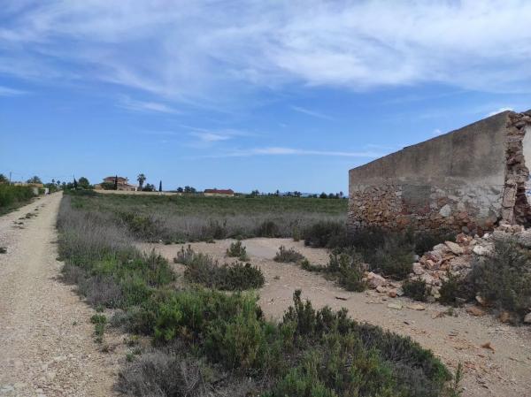 Terreno en Crevillente photo 1