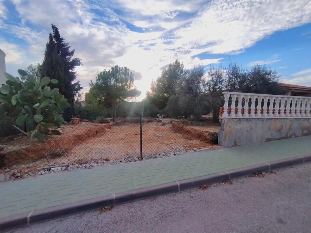 Участок земли на продажу в Пилар де ла Орадада, Аликанте photo 3