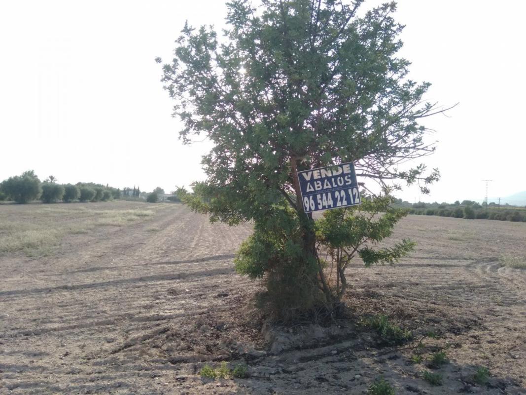 Участок земли на продажу в Кревильенте, Аликанте photo 2
