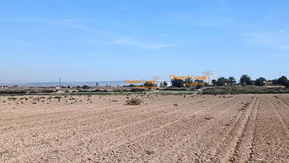 Terreno en venta en Elche / Elx, Alicante photo 1