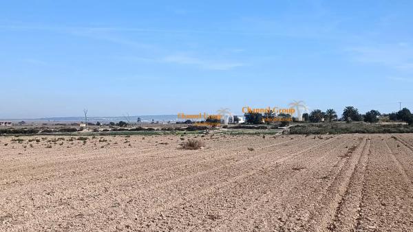 Terreno en La Marina photo 1