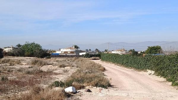 Terreno en La Marina photo 3
