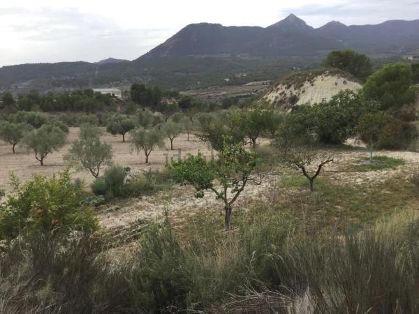 Terreno en Partida de la Pedrechina, Tibi s/n photo 1