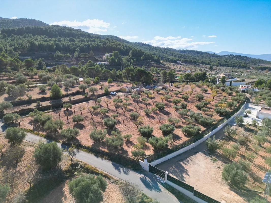Terreno en venta en Ibi, Alicante photo 3